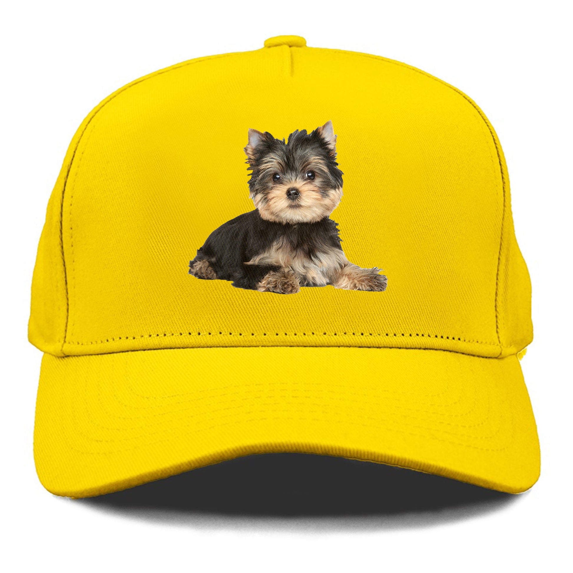 Yorkshire terrier Hat