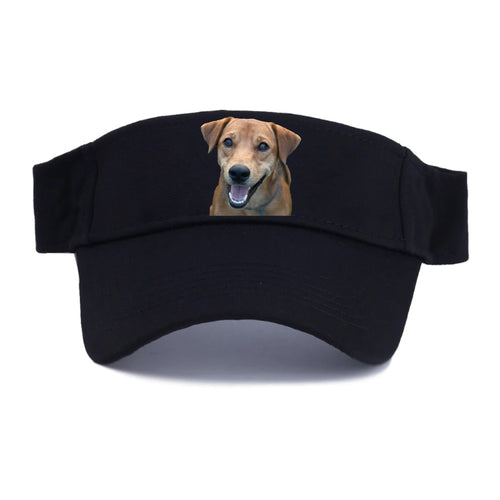 Labrador Visor