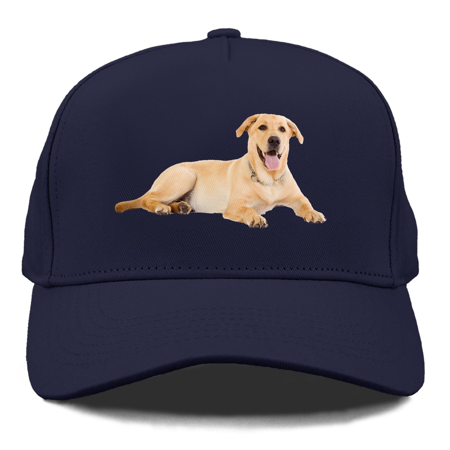 Labrador laying down Hat