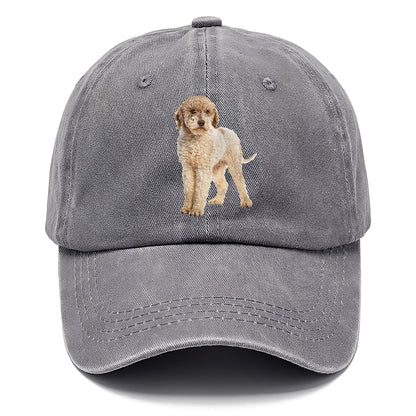 Lagotto Romagnolo Hat