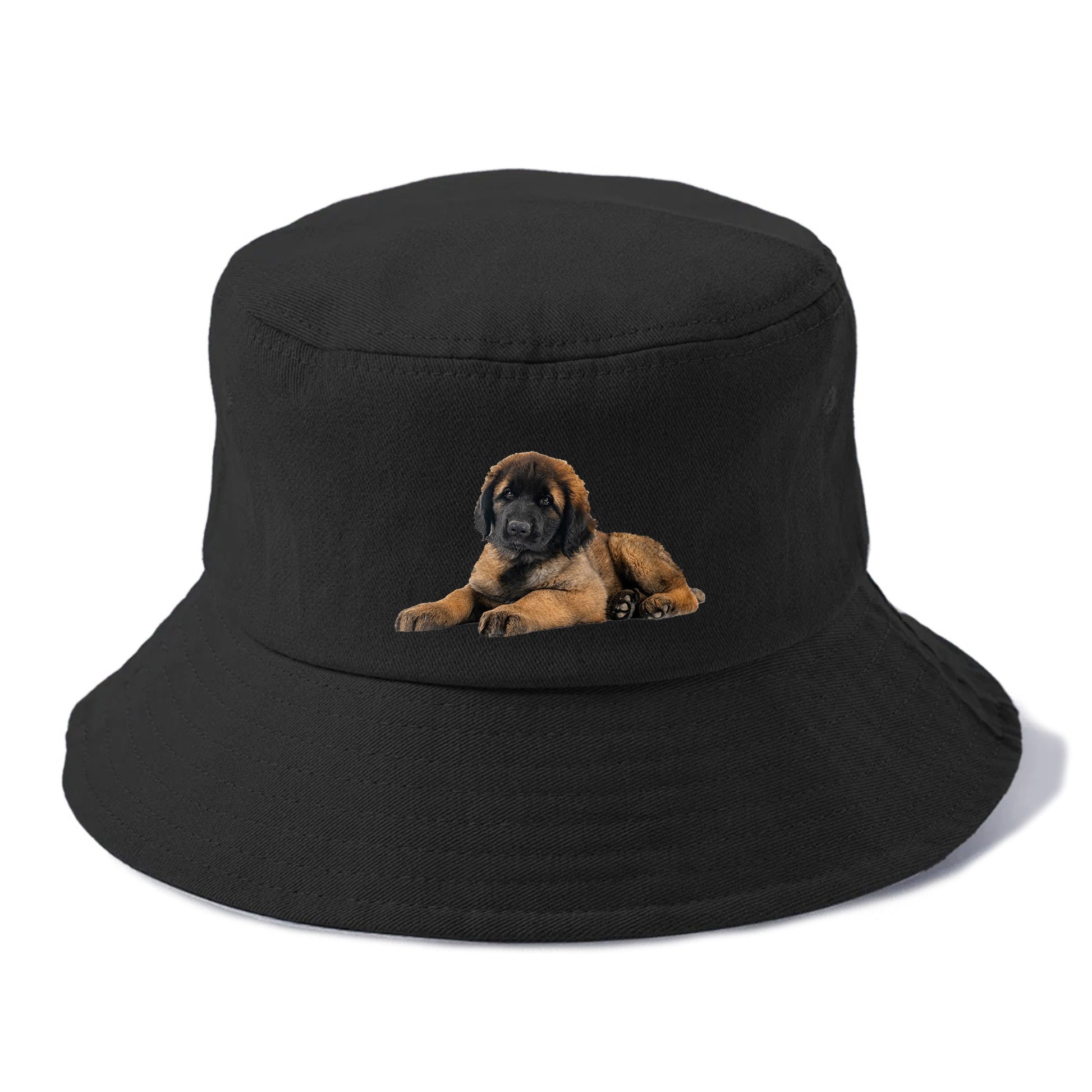 Leonberger Hat