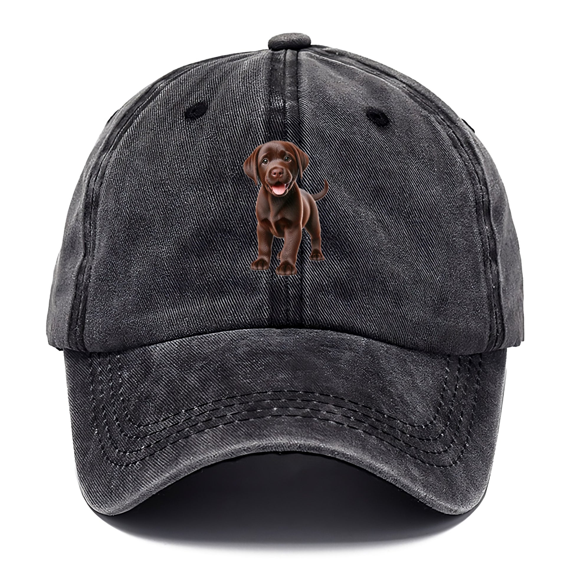 chocolate labrador Hat