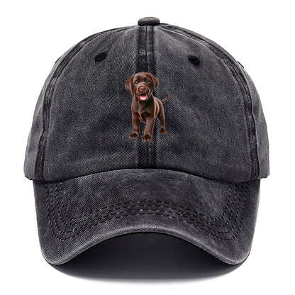 chocolate labrador Hat