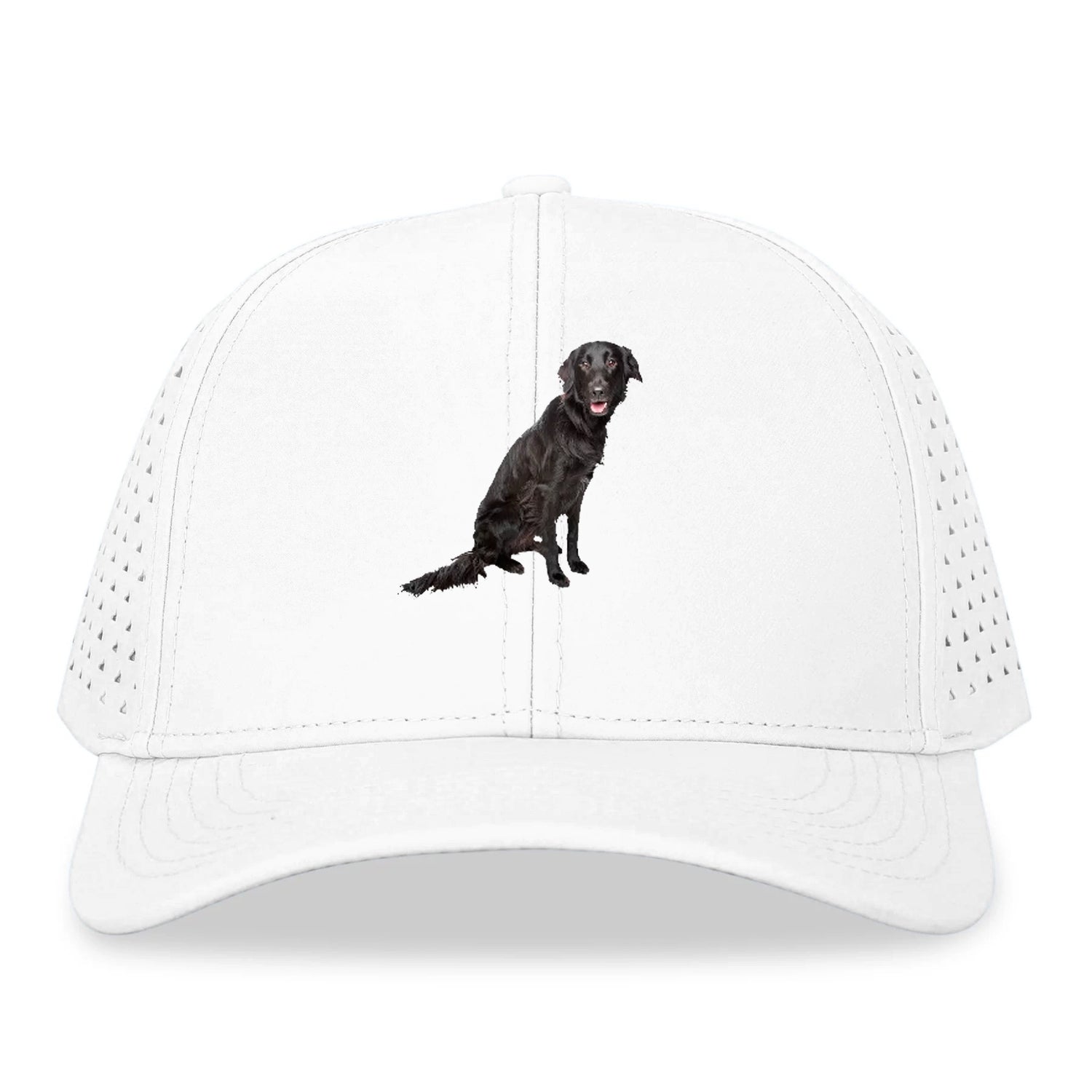 FlatCoated Retriever Hat