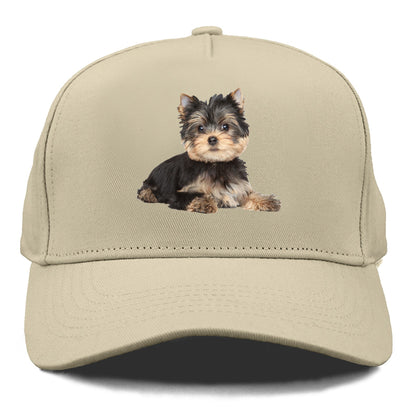 Yorkshire terrier Hat