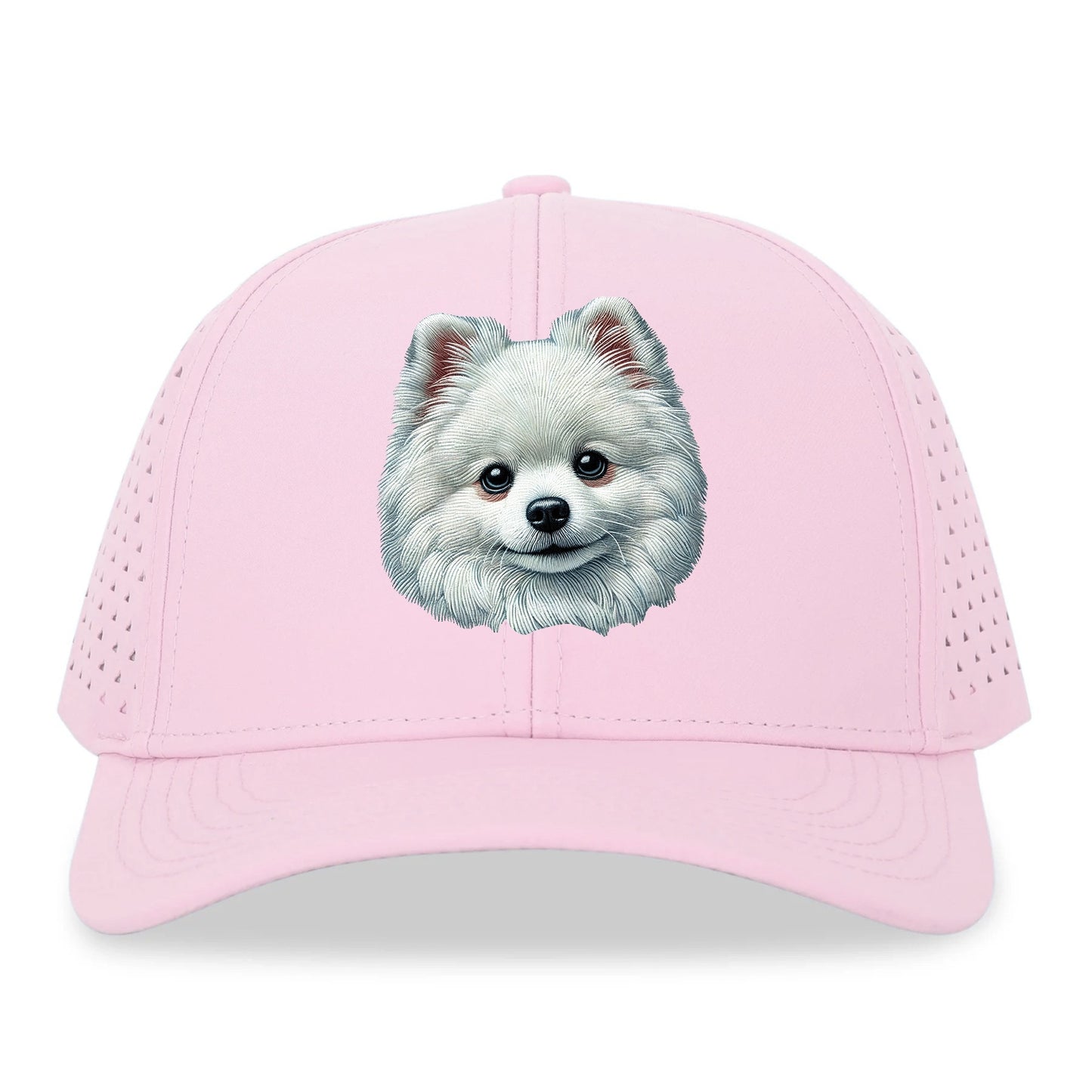 Pomeranian Hat