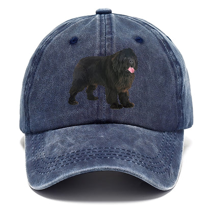 newfoundland Hat