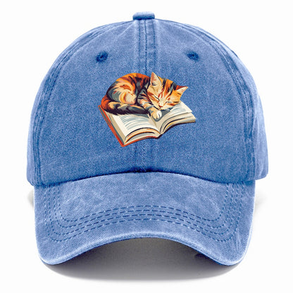 Cat Nap on Book Hat