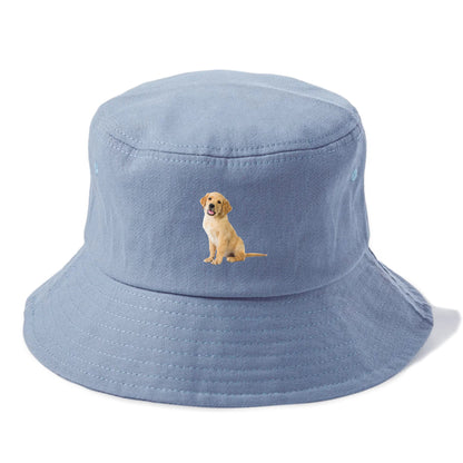 Playful golden pup with a cheerful expression Hat