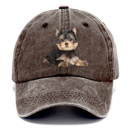 Yorkshire terrier Hat