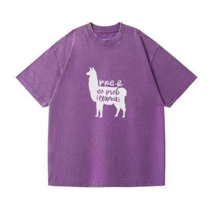 Prek no prob llama Hat