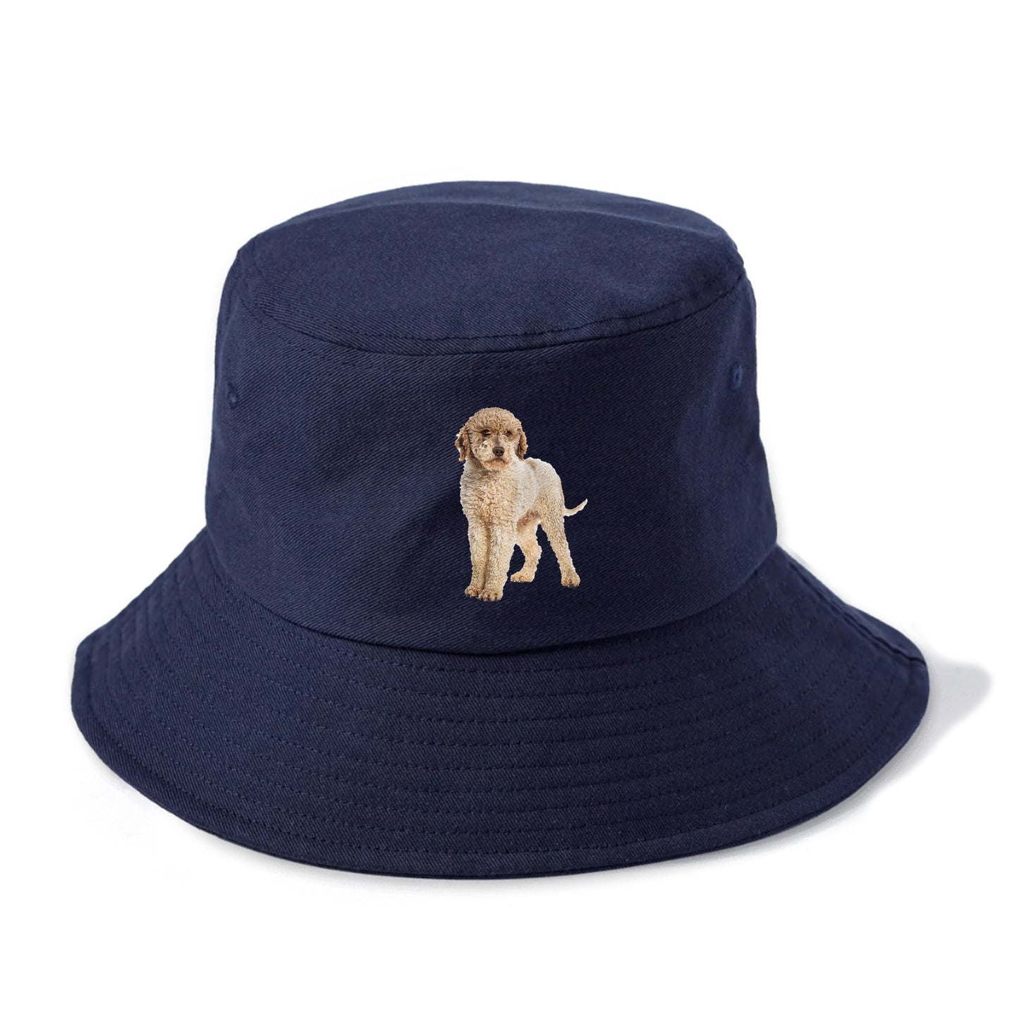 Lagotto Romagnolo Hat