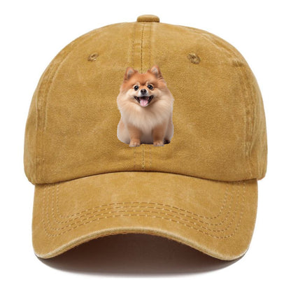 Delighted Pomeranian  Hat