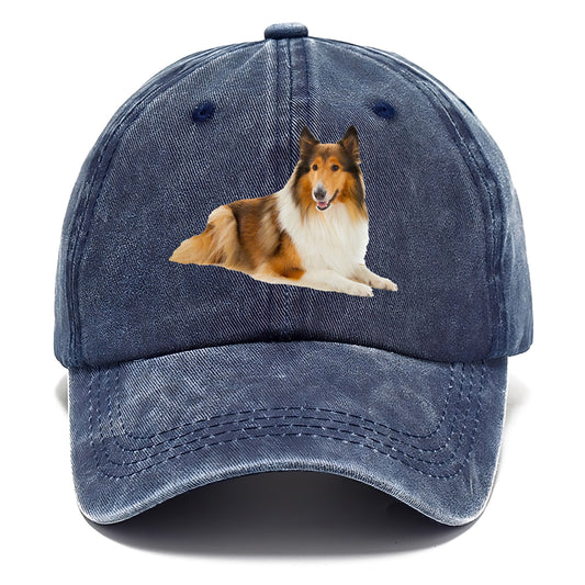 Rough Collie Hat