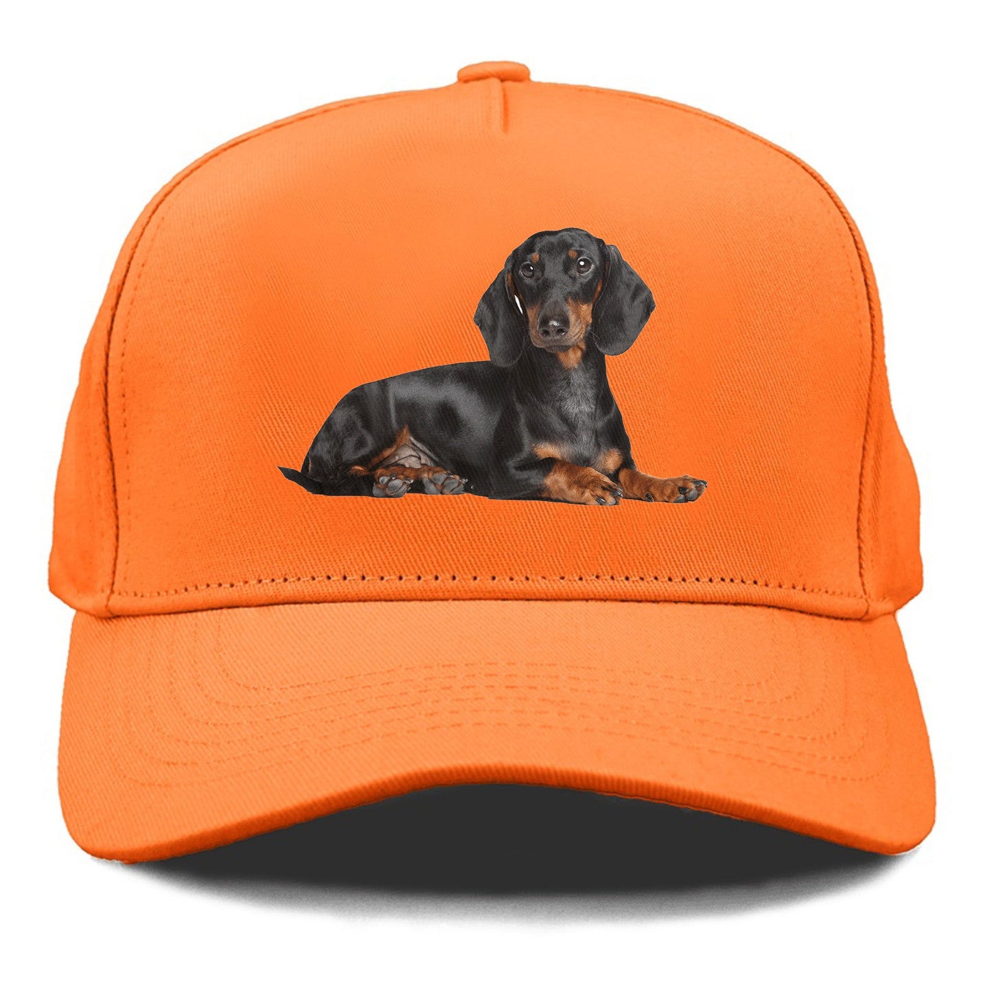 dachshund Hat