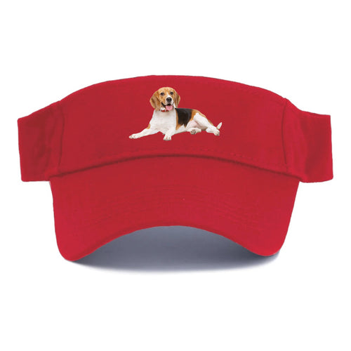 Beagle Visor