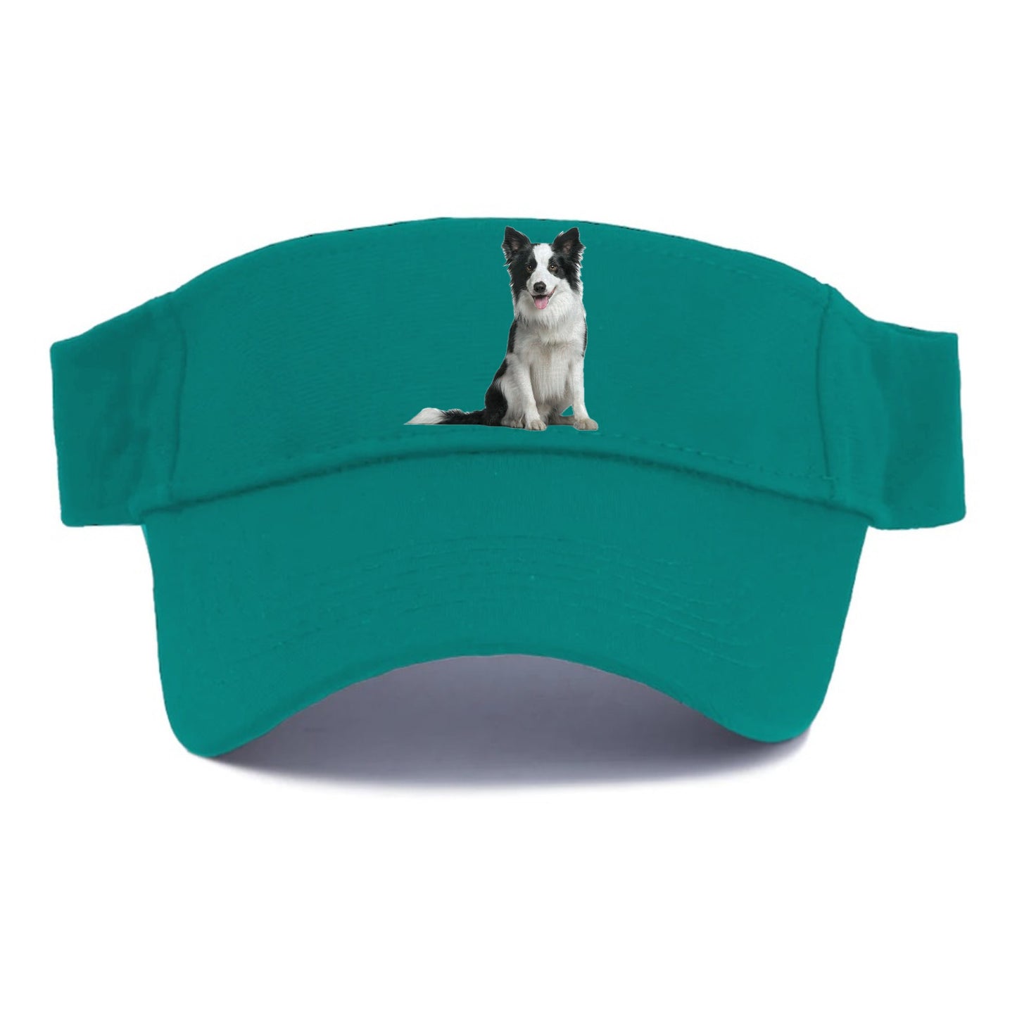 Border Collie Hat