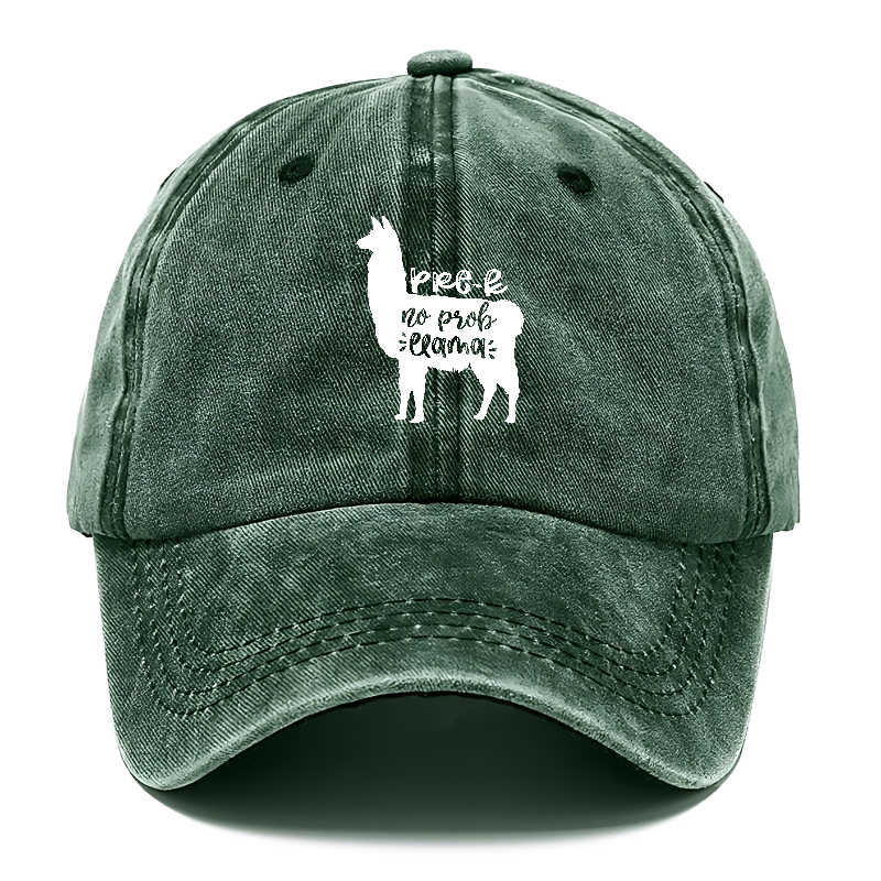 Prek no prob llama Hat