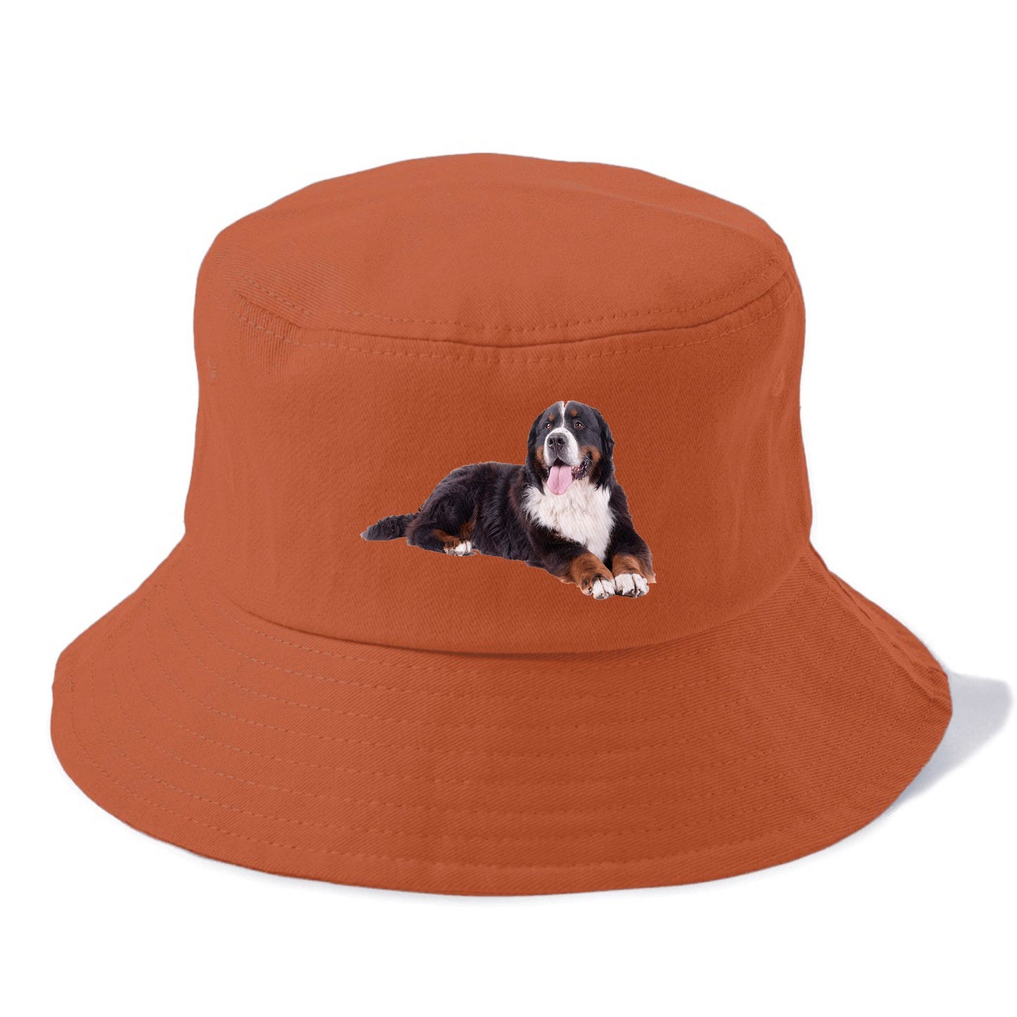 bernese mountain dog Hat