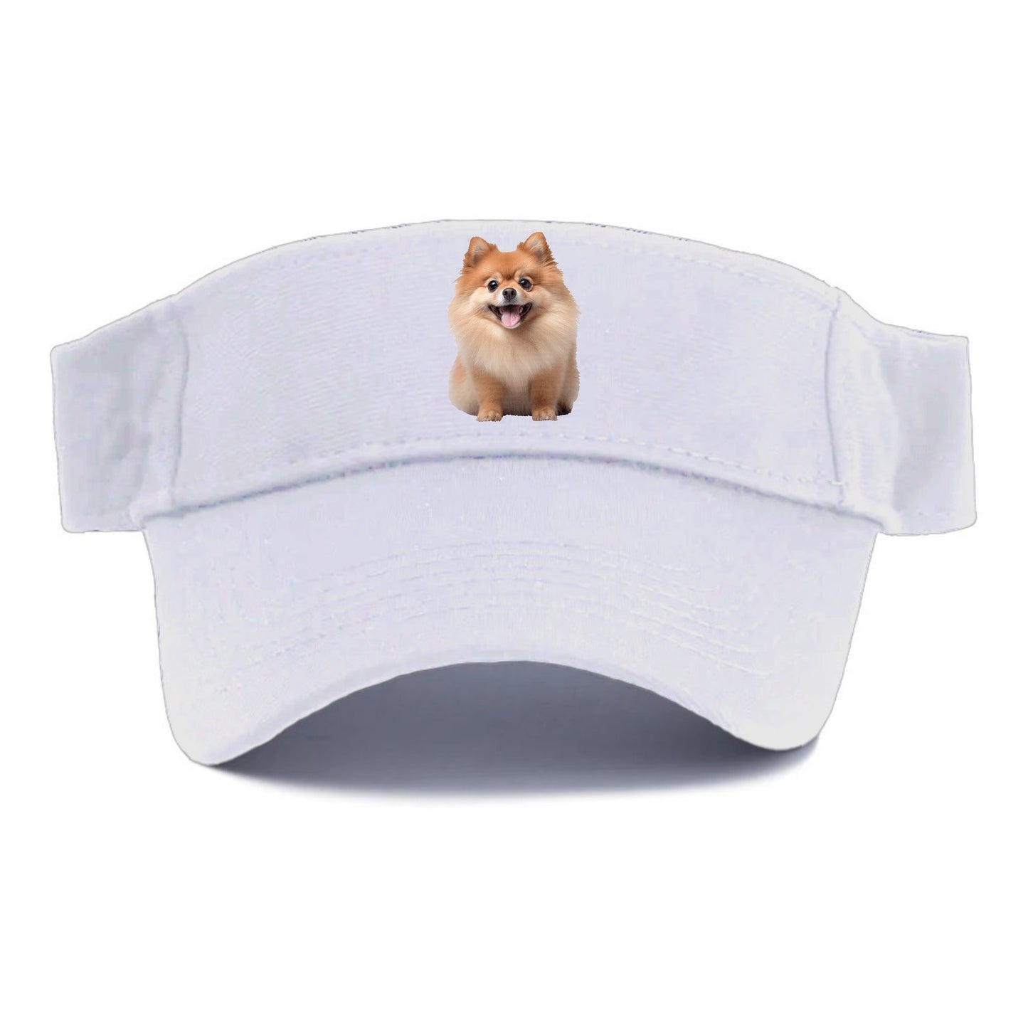 Delighted Pomeranian  Hat