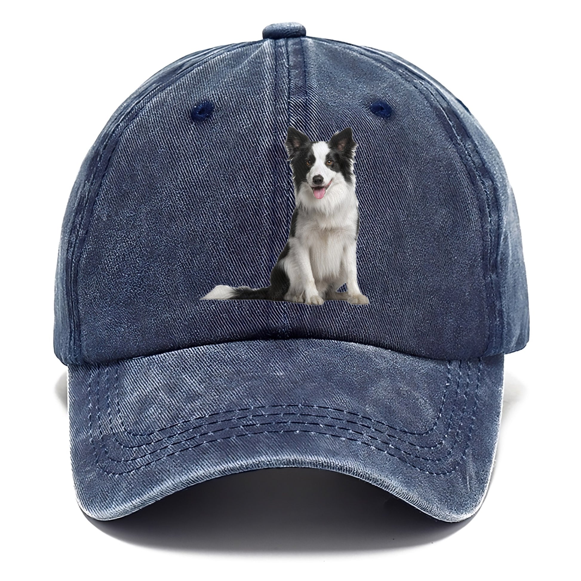 Border Collie Hat