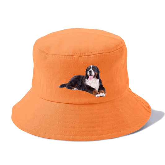 bernese mountain dog Hat