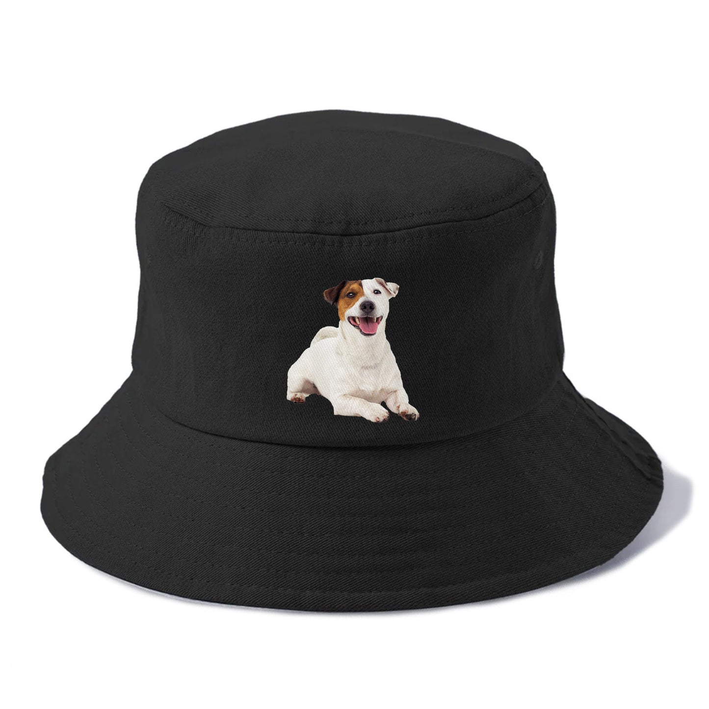 jack russell terrier dog Hat