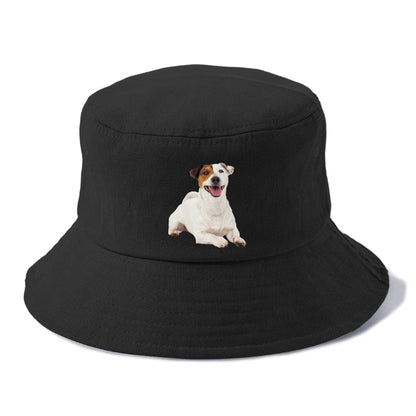 jack russell terrier dog Hat