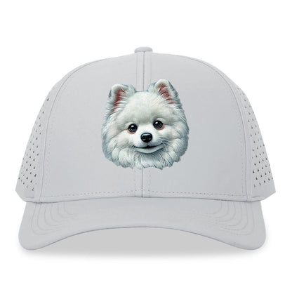 Pomeranian Hat