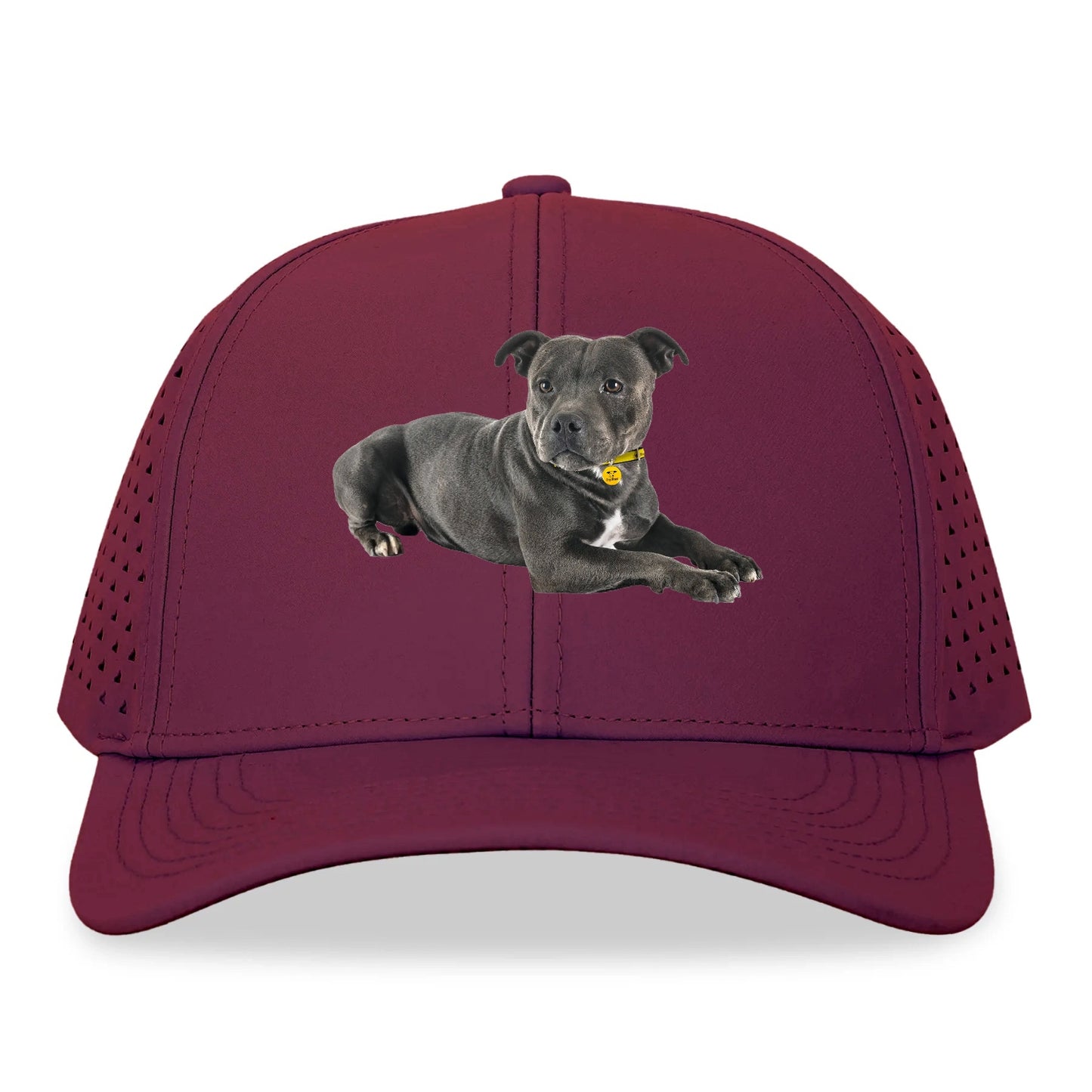 Staffordshire Bull Terrier Hat