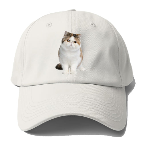 Exotic Shorthair Baseball Cap For Big Heads