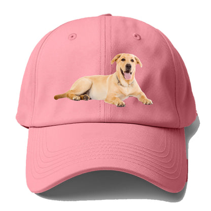 Labrador laying down Hat