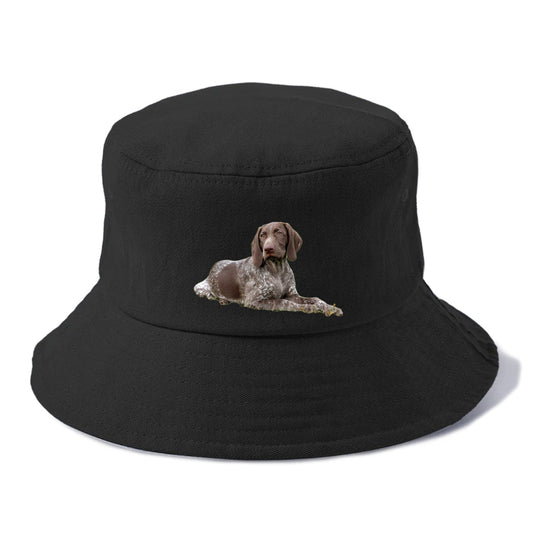 German Shorthaired Pointer 2 Hat