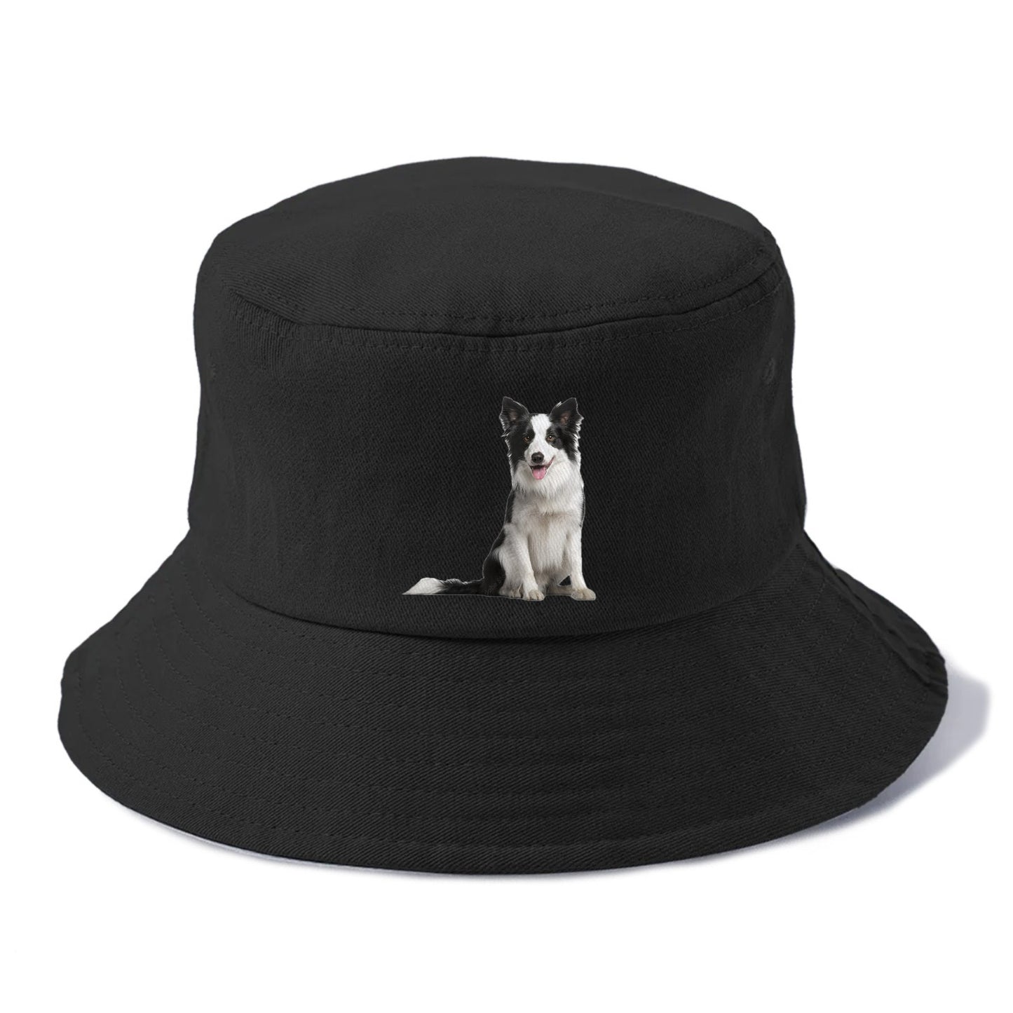 Border Collie Hat