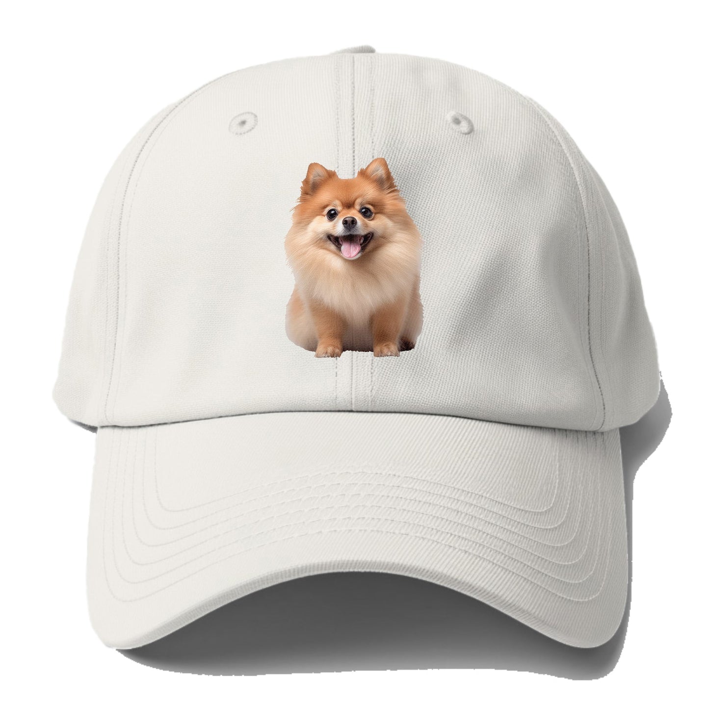 Delighted Pomeranian  Hat