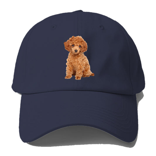 toy poodle Hat