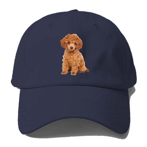 Toy Poodle Baseball Cap For Big Heads