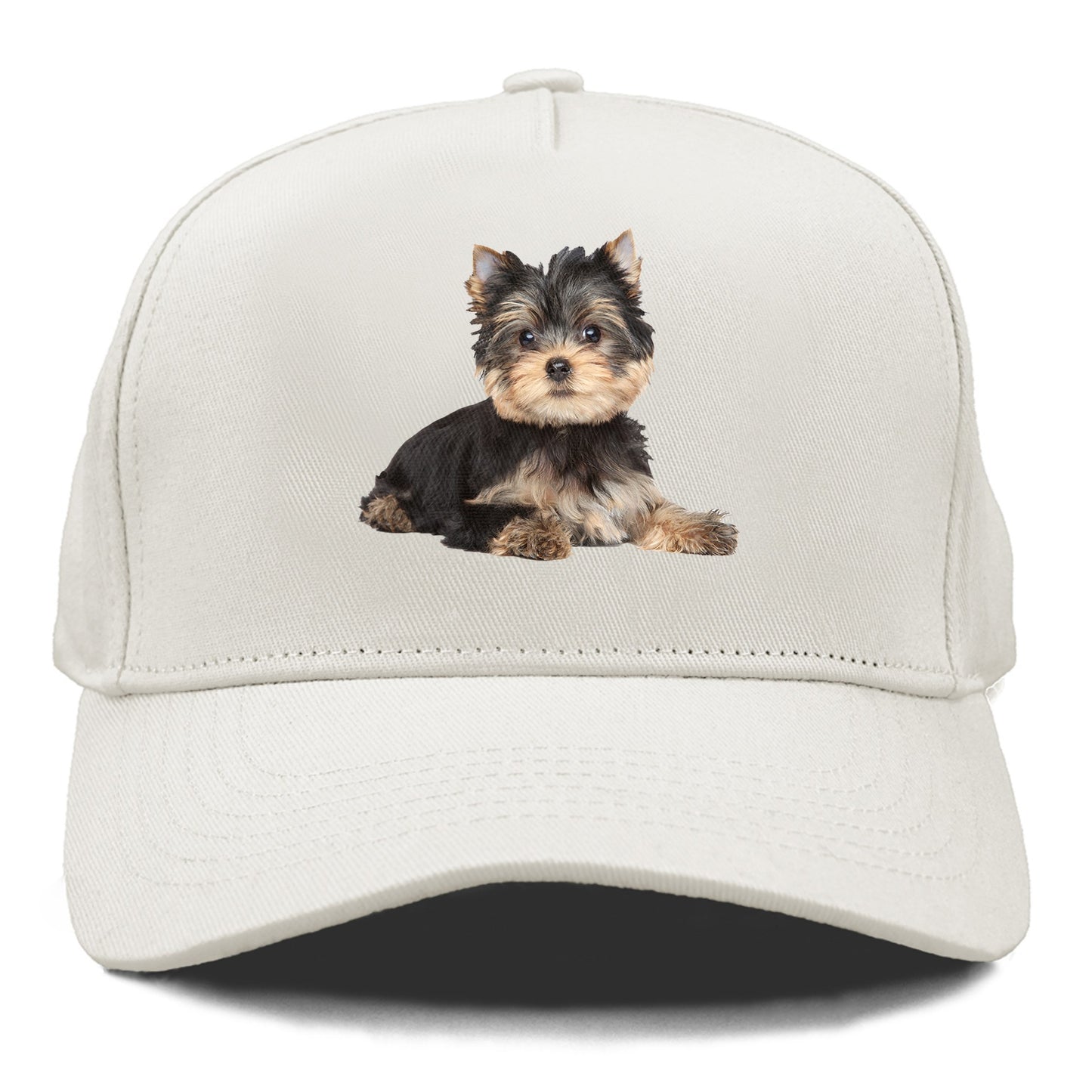 Yorkshire terrier Hat