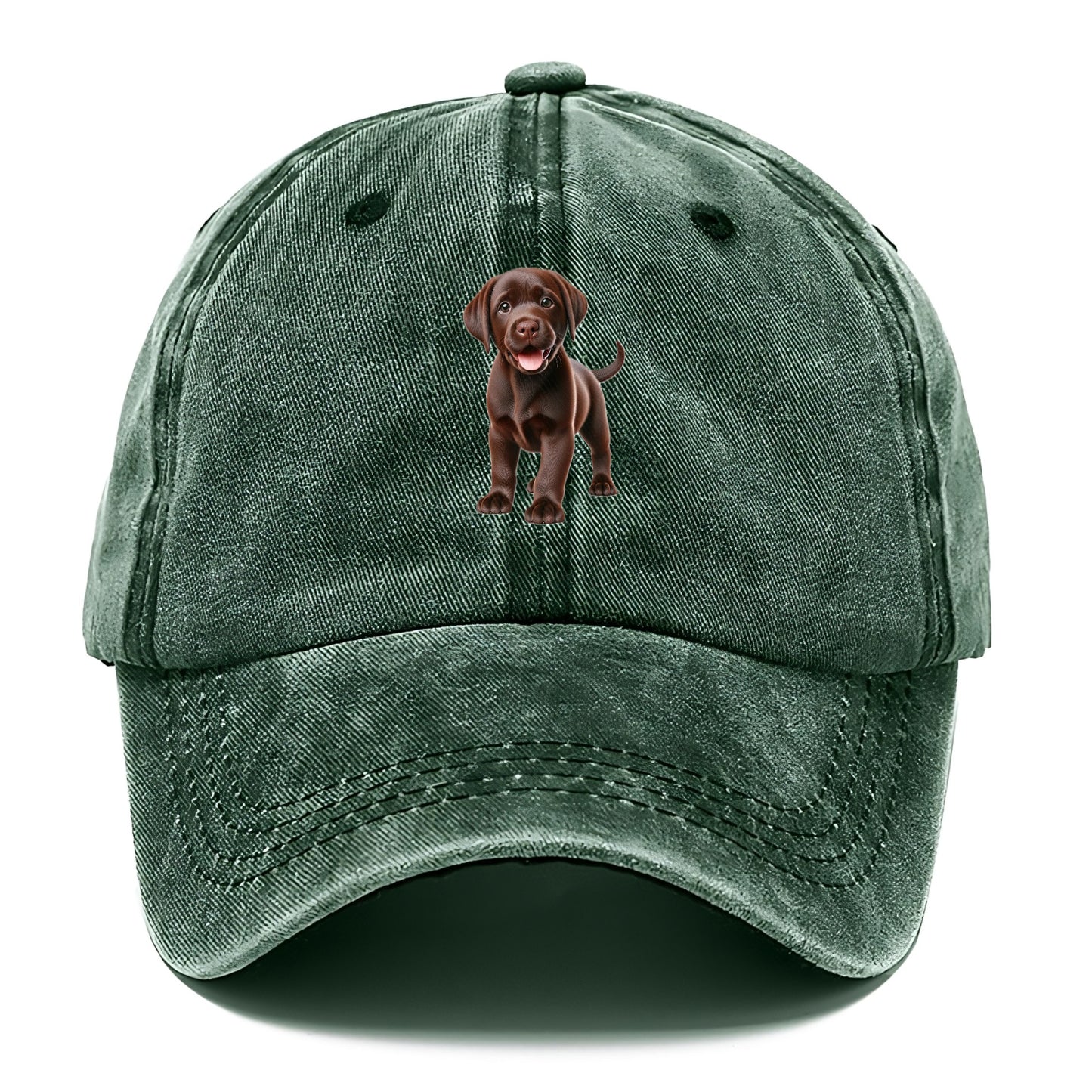 chocolate labrador Hat