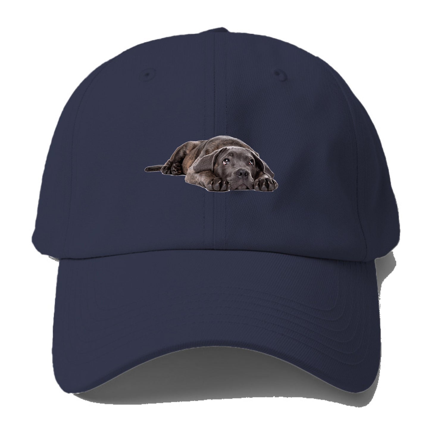 cane corso Hat