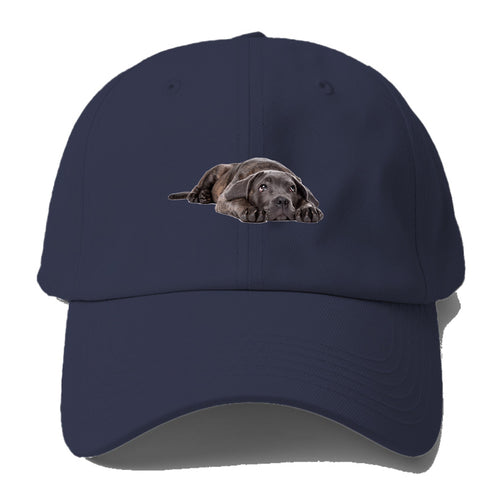 Cane Corso Baseball Cap For Big Heads