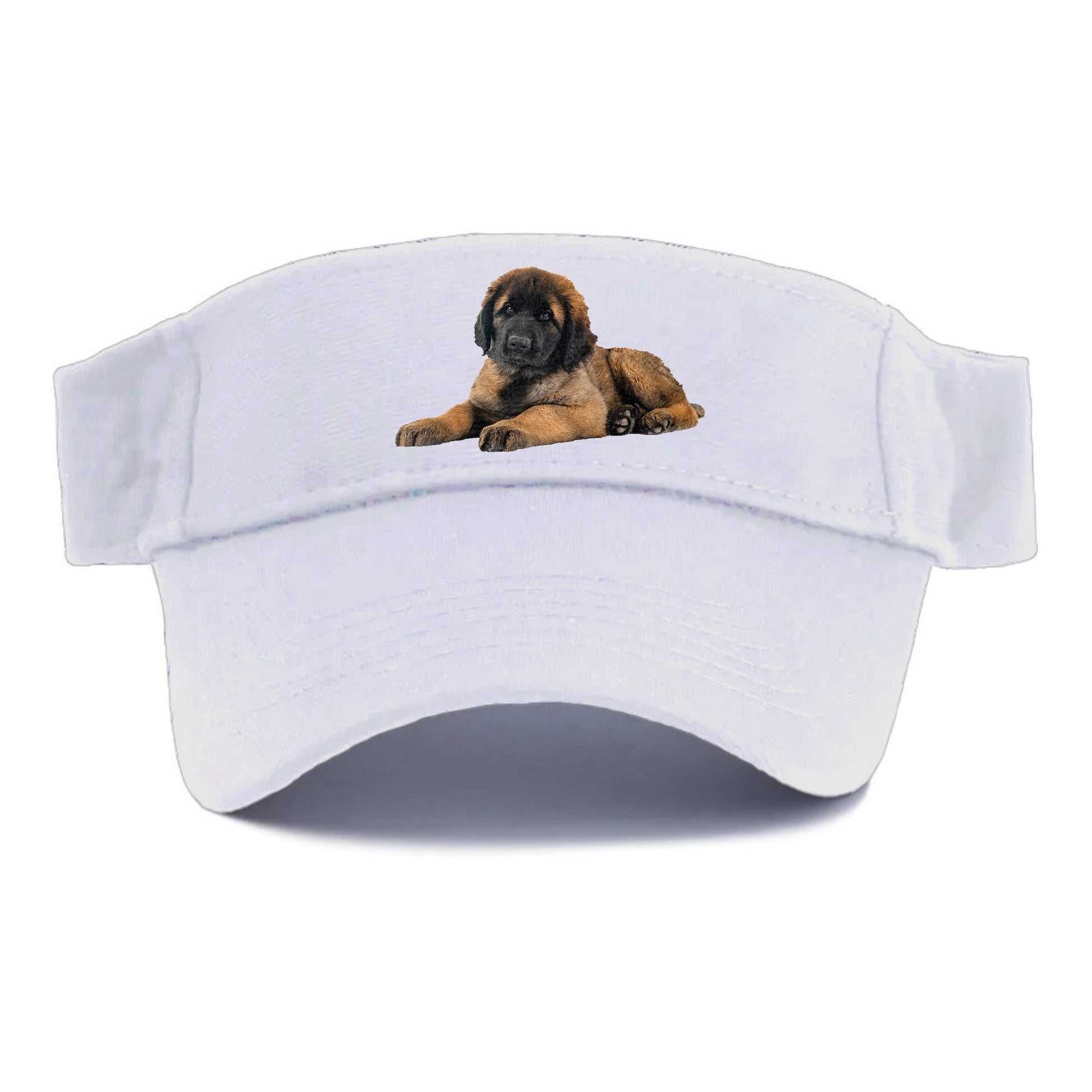 Leonberger Hat