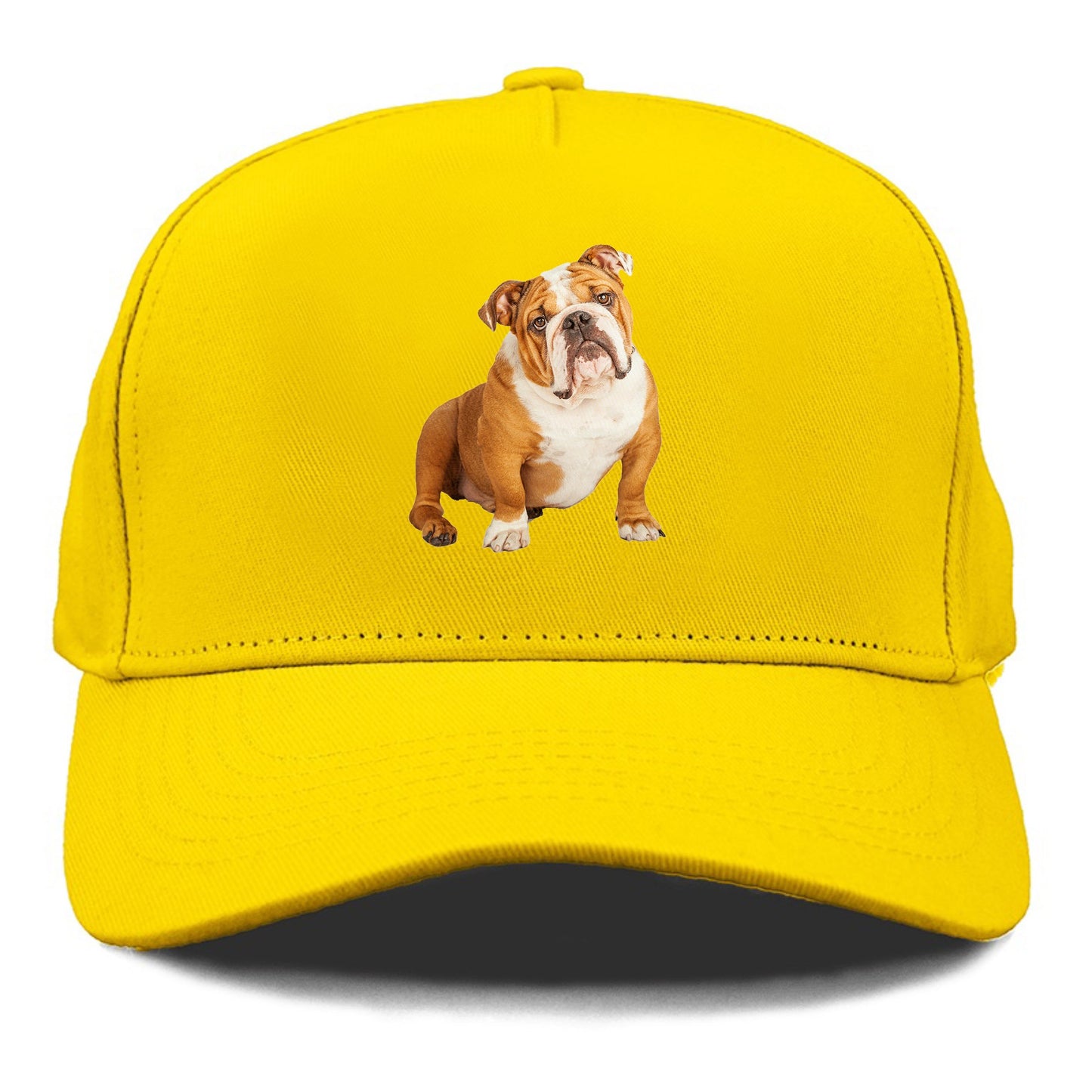 bulldog Hat