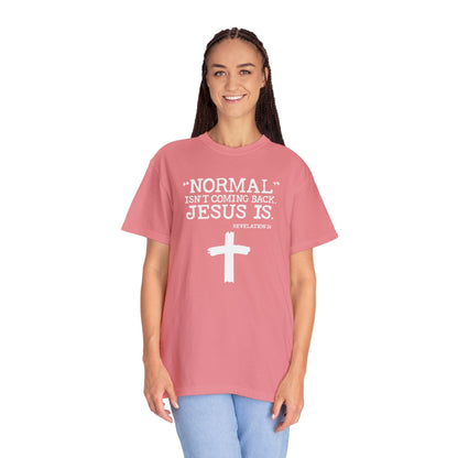 Sacred Verse T-Shirt: Jesus Is Here, Normal Isn't Coming Back - Pandaize