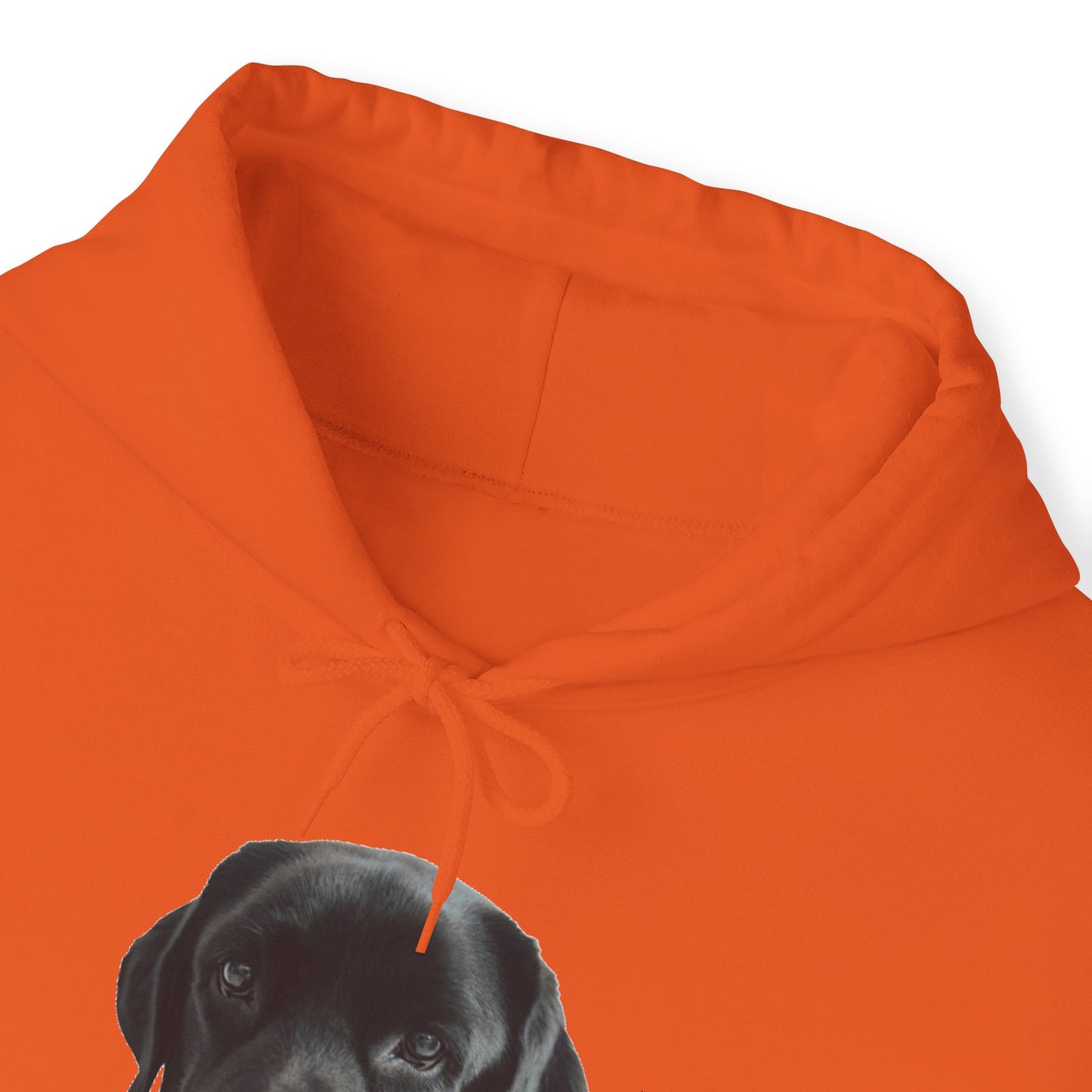 Black Labradors Hooded Sweatshirt