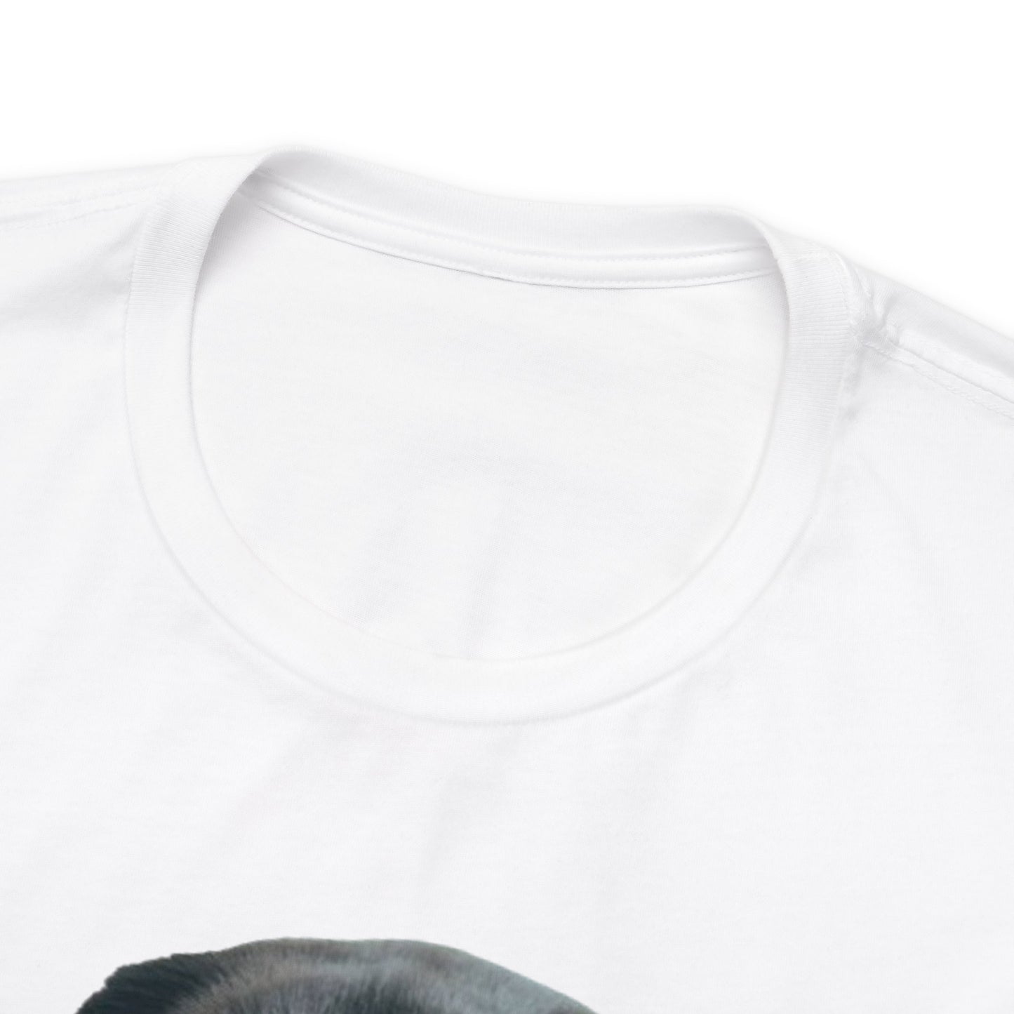 Camiseta de manga corta Black Labradors Unisex Jersey