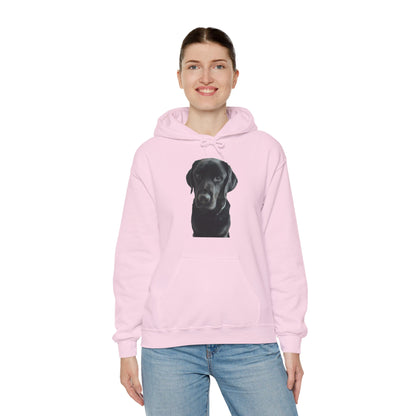 Black Labradors Hooded Sweatshirt