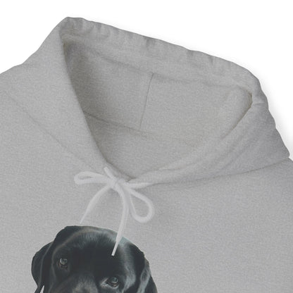 Black Labradors Hooded Sweatshirt