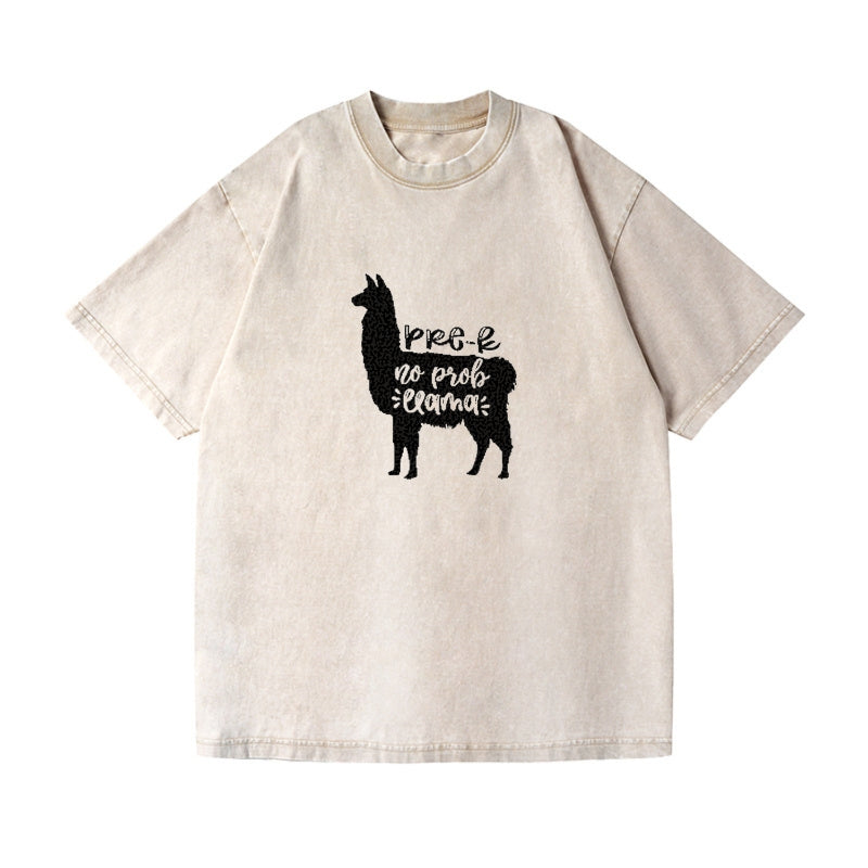 Prek no prob llama Hat