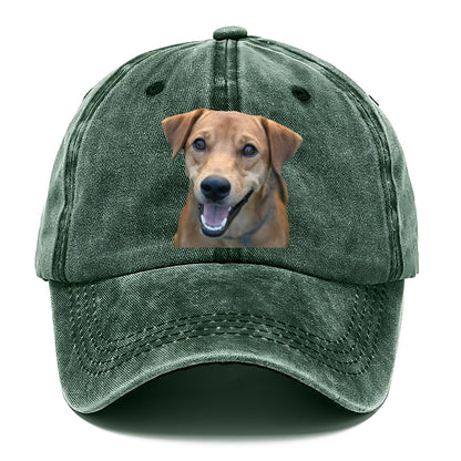 Labrador Hat